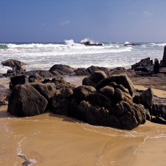 香水、湾、海南、风景_1357