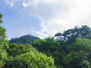 千山