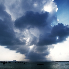 椰子、岛屿、海洋、云_1366