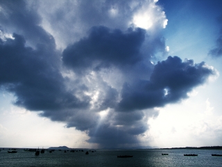 椰子岛