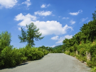 千山