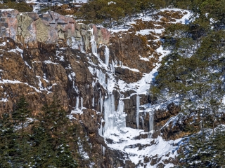 轿子山