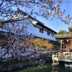 苏州怡园风光_1454