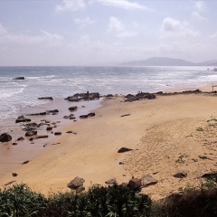 香水、湾、海南、风景_1354