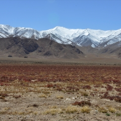 小交通模块 
