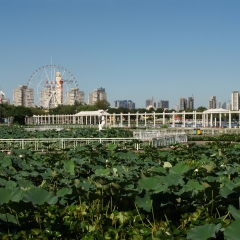 天津水上公园_1885