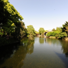 城市类、上海古漪园景色_2331