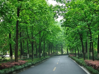 杭州植物园