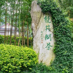 杭州龙井问茶石碑_2513