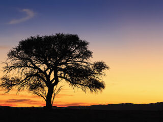 纳米布-诺克卢福国家公园