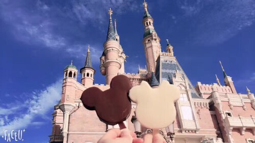 上海迪士尼乐园门票(1日游) 赠送个人旅游意外