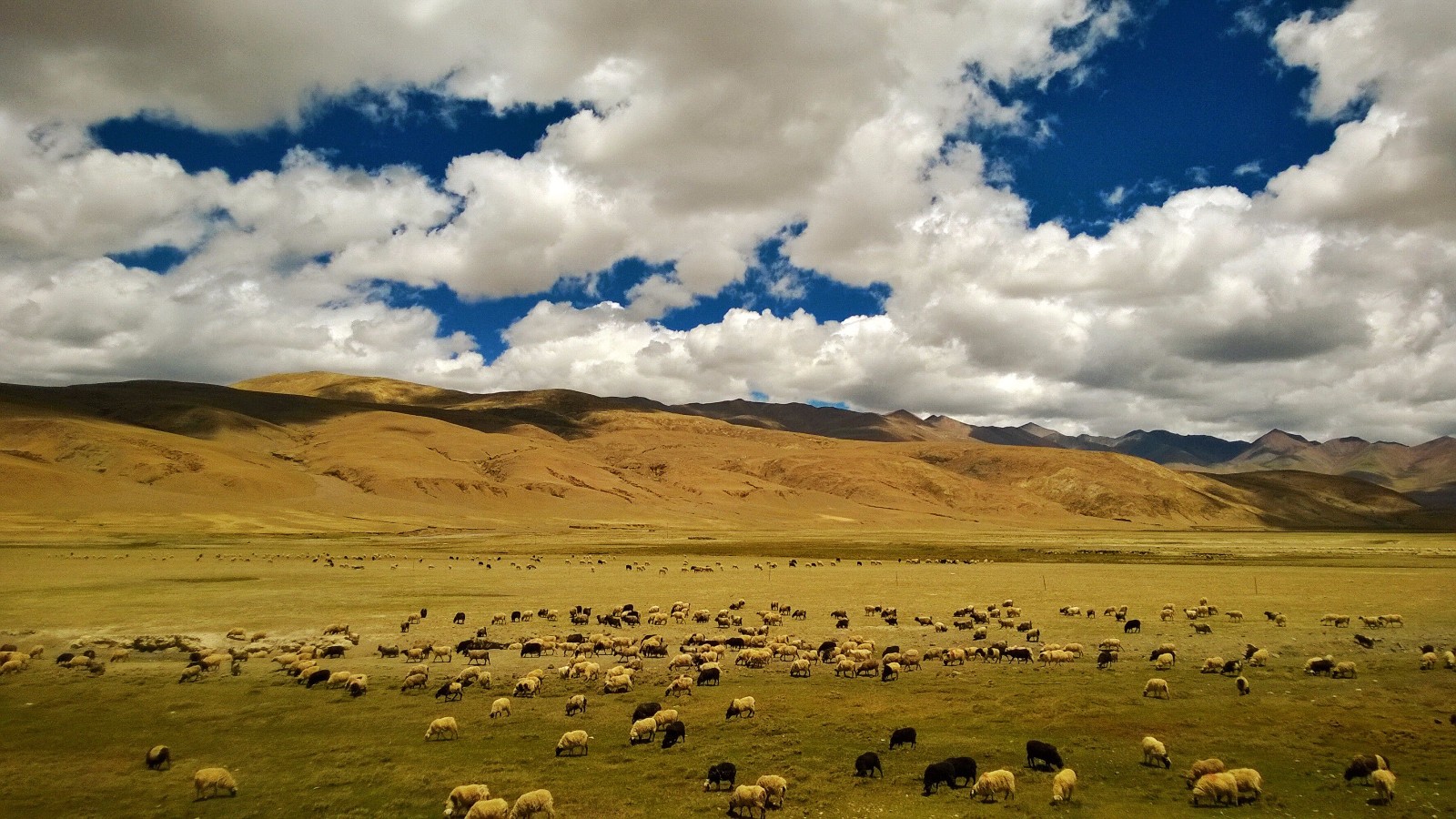 那最遥远的地方——西藏【多图】_格尔木河游记_途牛