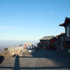活动模块 