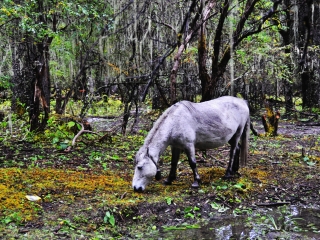 九龙伍须海景区