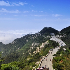 泰山云海仙境_3620