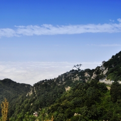 泰山云海仙境_3614