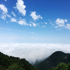 泰山云海仙境_3616