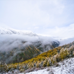 夹金山风光_3677