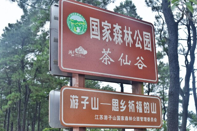 相当很舒服,马路上车辆很少,两边满眼的绿色,高淳不愧为国际慢城,两天