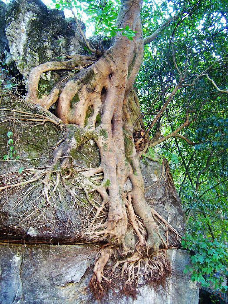 游江永上甘棠古村