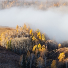 新疆禾木风光_3846 景点模块