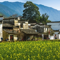 江西婺源庆源村_4233