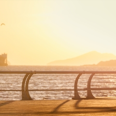 东海公园 景点模块