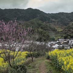 花里的山村_4231