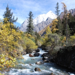 景点模块 