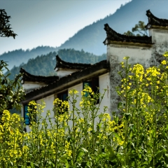 江西婺源庆源村_4234