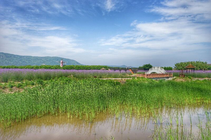       塔湾金沙景区