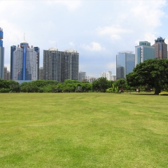 建筑、绿色、公园、海口、城市、海南_637