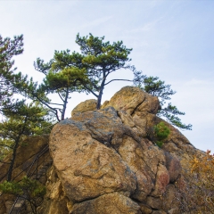 千山小黄山苍龙首山峰_521