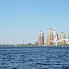 塘沽外滩_462