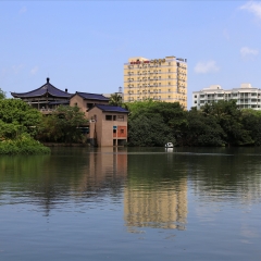 海口人民公园东湖风光_642