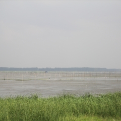 东平湖_527