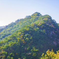 千山小黄山观五佛顶山峰山脉_520