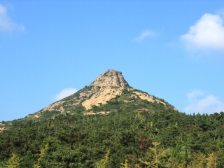 大泽山