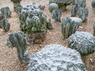 海口火山口地质公园