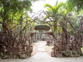 海口火山口地质公园