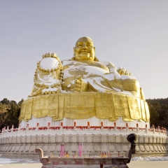 山东、佛、山_87