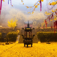 山东泰安玉泉寺_5410