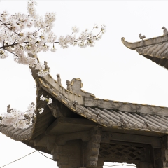 西安香积寺净宗祖庭牌楼_6783