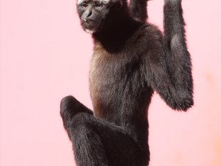 西霞口野生动物园