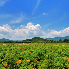 怀柔区香草世界_267