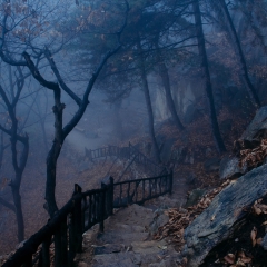 山东泰安玉泉寺_5411