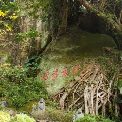 芝山岩_6022
