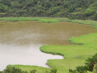 南仁湖