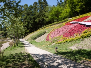 清境小瑞士花园