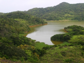 南仁湖